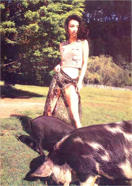 新闻聚焦--玉女<em>张庭性感</em>解脱写真 诱惑十足极惹